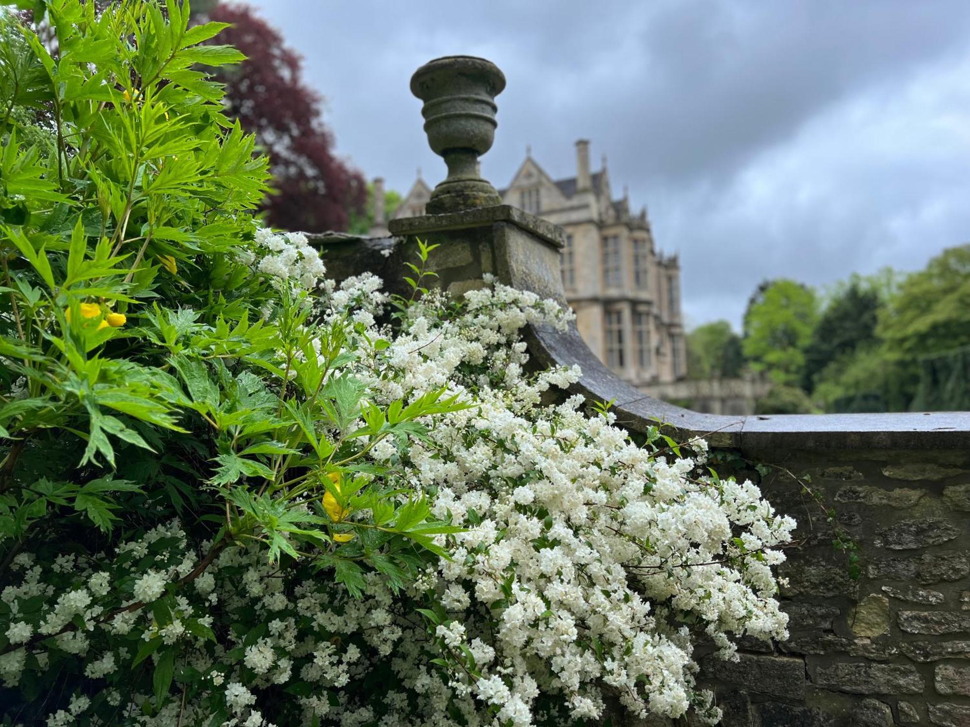The Hall - Historic Grade I-Listed Jacobean Mansion Bradford-On-Avon Bagian luar foto
