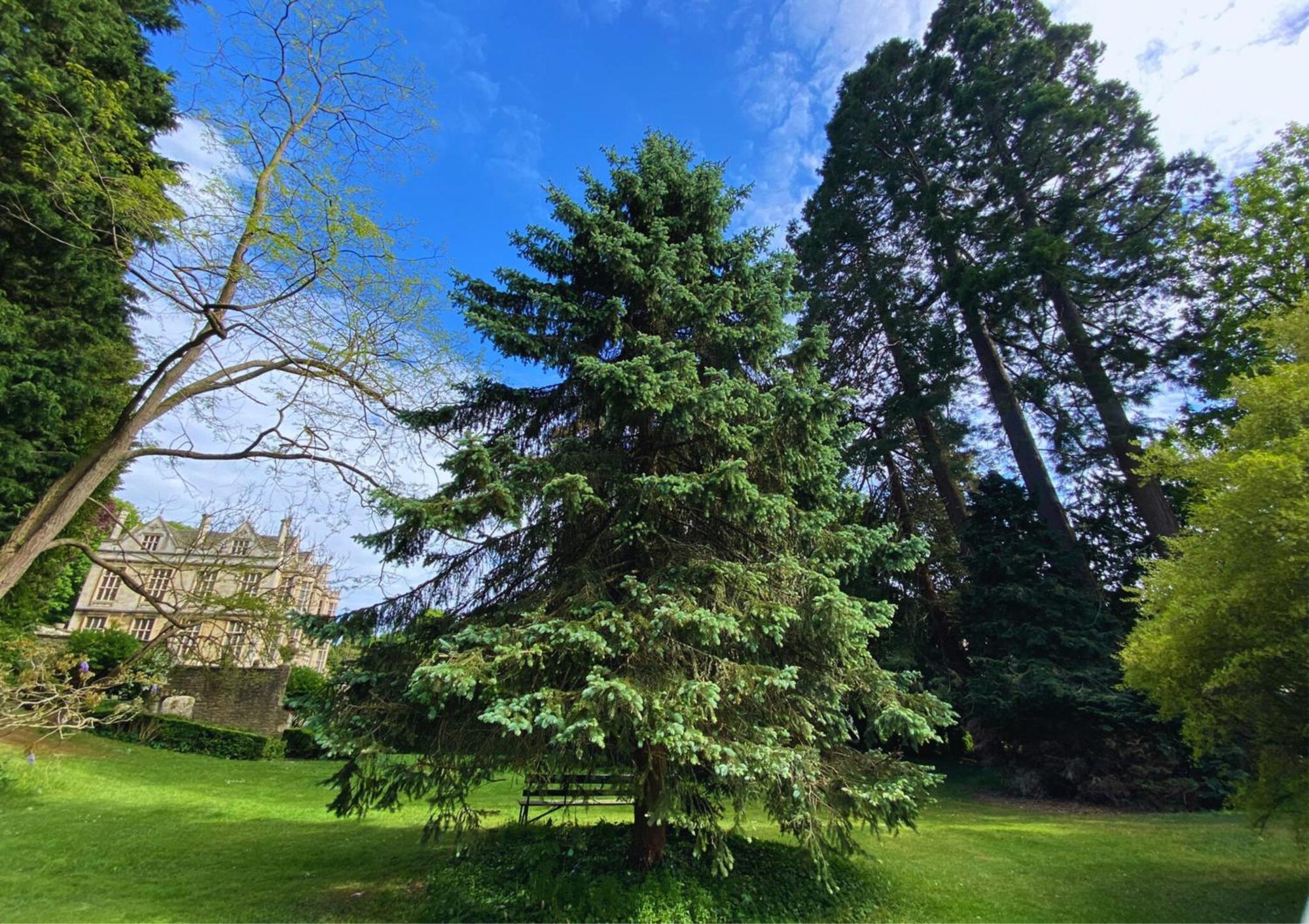 The Hall - Historic Grade I-Listed Jacobean Mansion Bradford-On-Avon Bagian luar foto